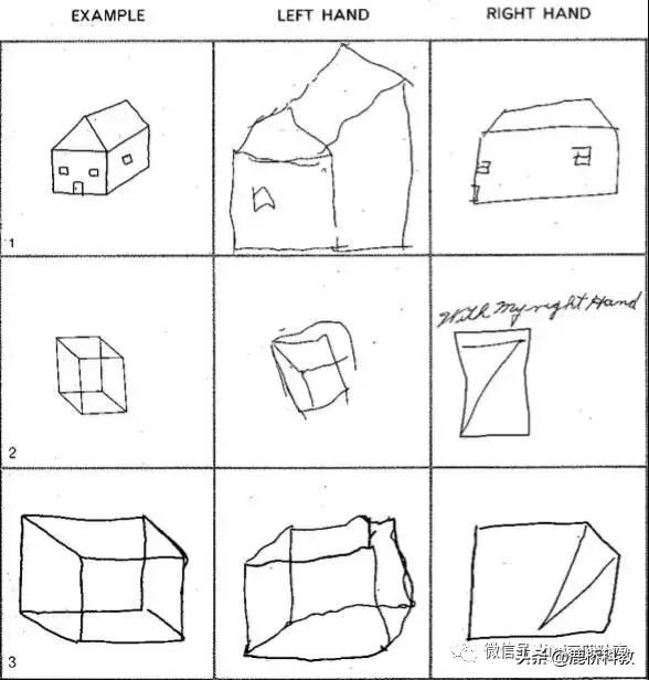左脑右脑玩三国华容道,左脑右脑测试动图