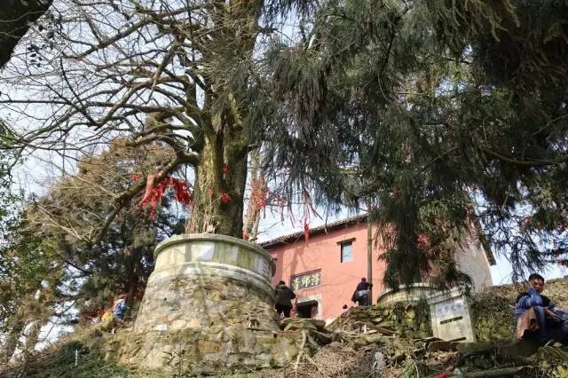 我的家乡被遗忘,我的家乡曾经也很美丽