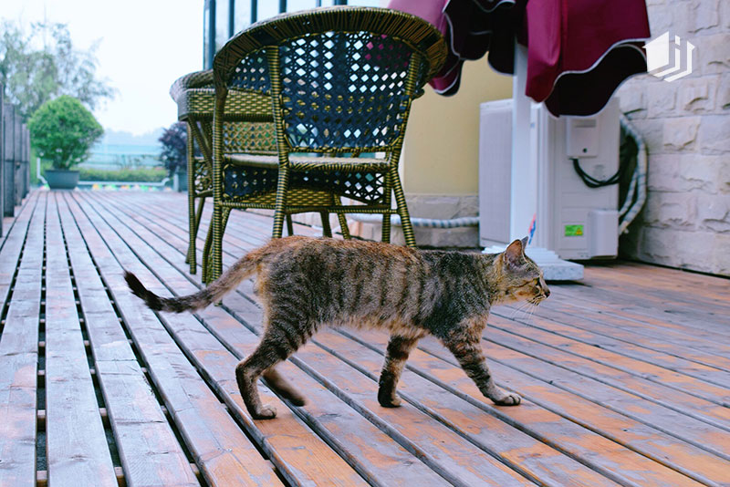 临空经济区内，长寿湖旁，见证海航通航空港城一期“城”长