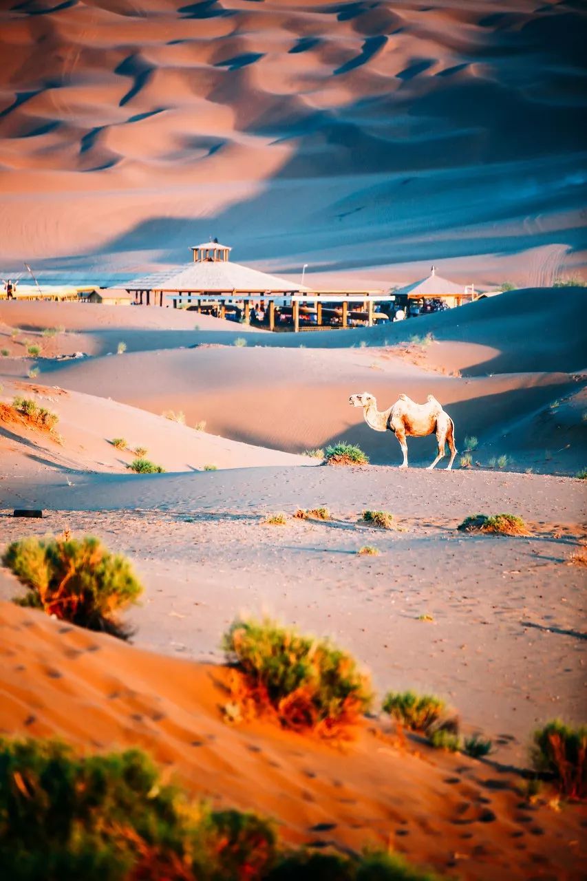 涓嶈兘鍘诲鍦扮殑鐞嗙敱,浜旂浜轰笉鑳藉幓鐤嗗唴鏃呮父