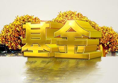 通过支付宝买基金有什么风险,支付宝上面基金风险提示可靠吗