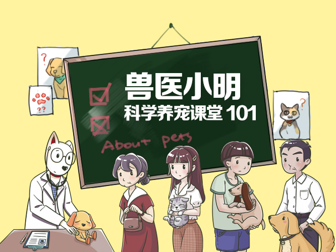 狗狗便秘有什么土方法治疗,狗狗便秘怎么解决吃什么