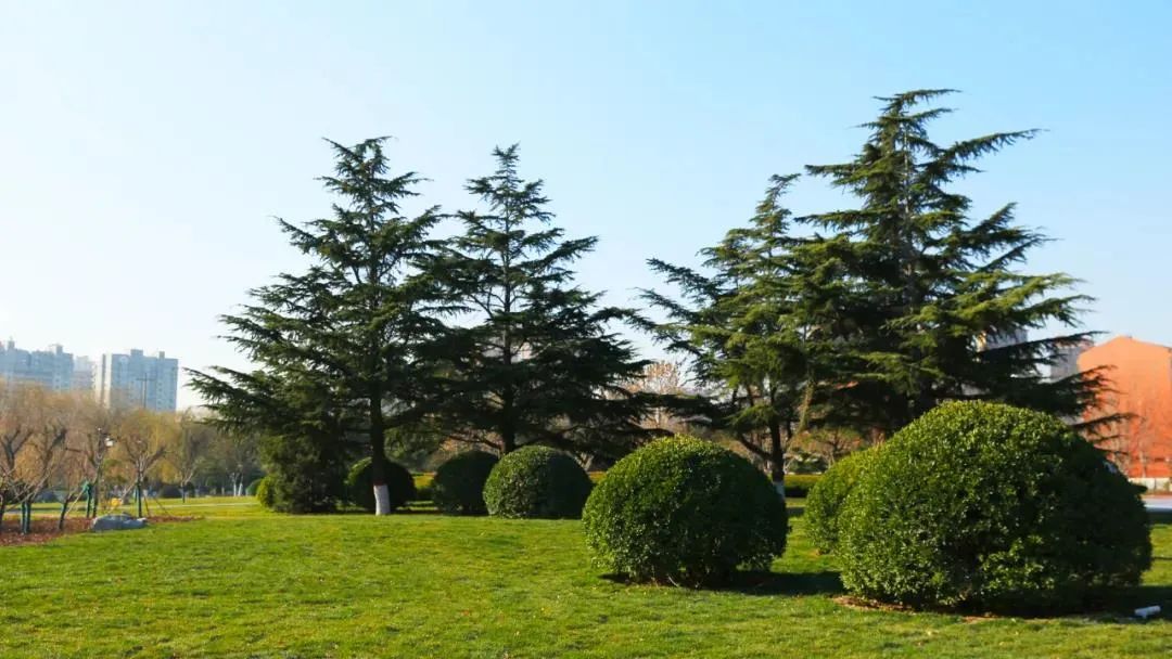 潍坊的私家园林,潍坊自怡园有哪些景点