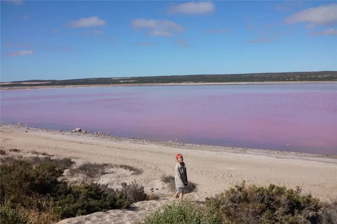 这地方是男人天堂,我们的大宝马也怕了