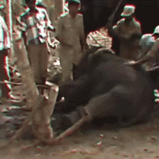 15岁怀孕的她，被骗吃下*药炸**，无辜去世：生而为人，有些人却不配