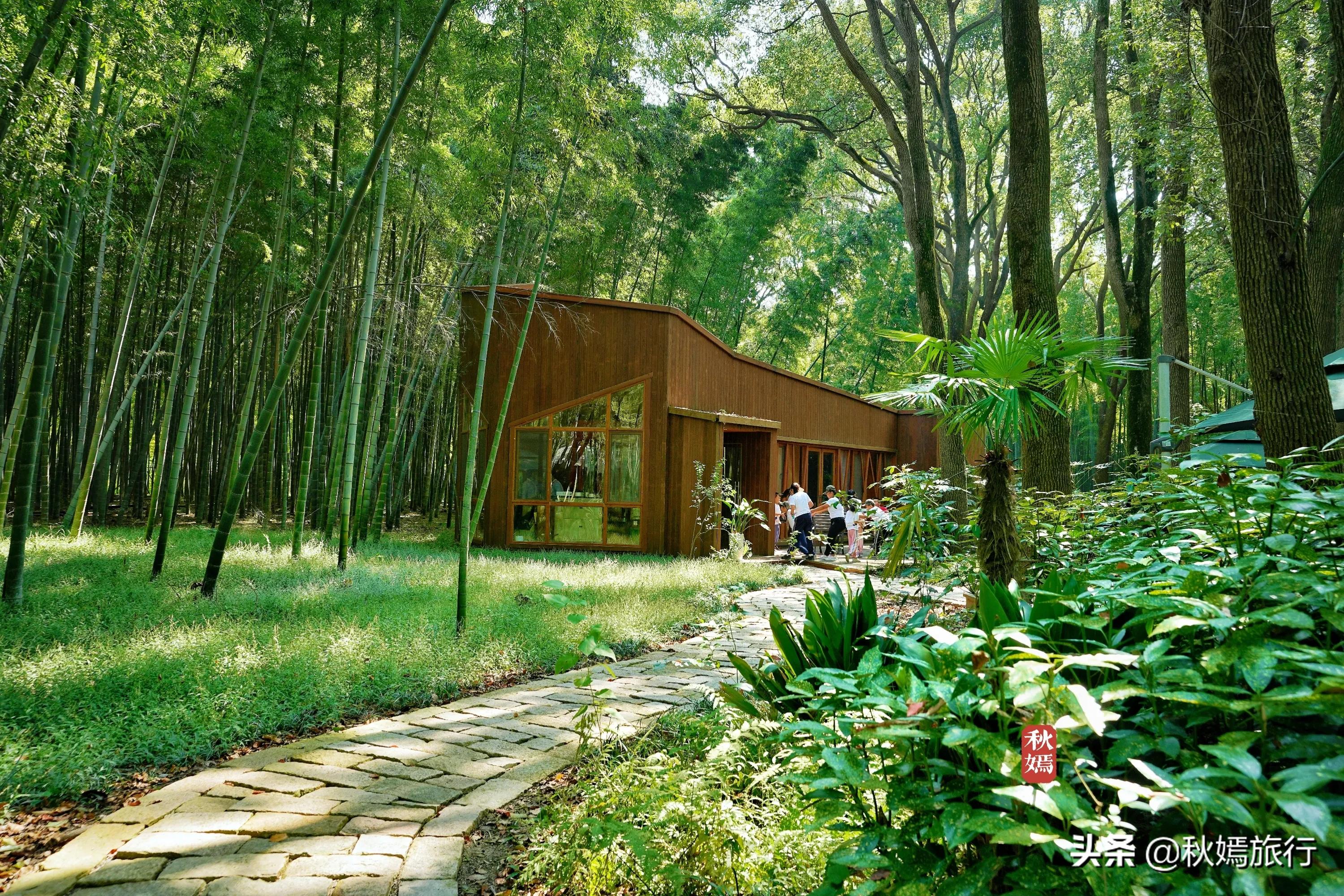 苏州吴中太湖新城苏州湾湿地公园,苏州湿地免费公园虎丘