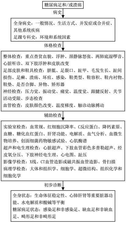 重点专科划重点|中医特色疗法,挽救上千例频临截肢的糖尿病足坏疽患者