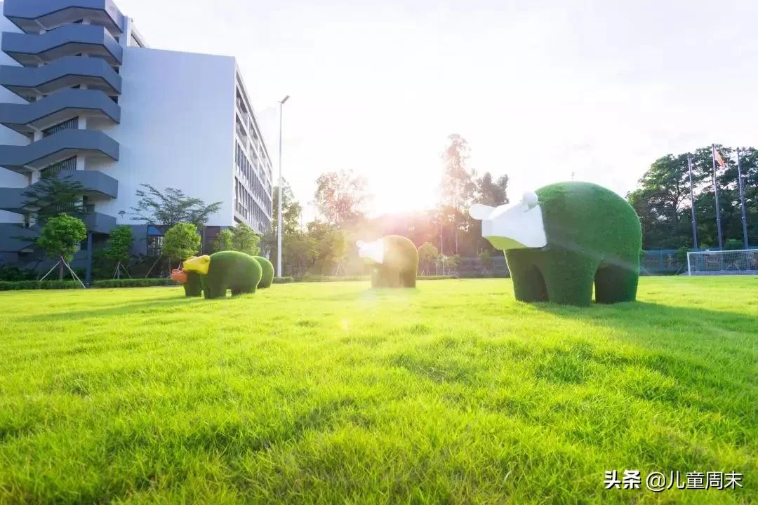 深圳南山最差十大小学,深圳南山麒麟小学最新排名