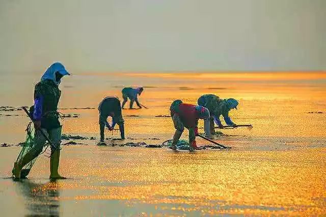 【读历史游盘锦】几许渔人飞短舟，尽载灯火归村路渤海金滩蛤蜊岗