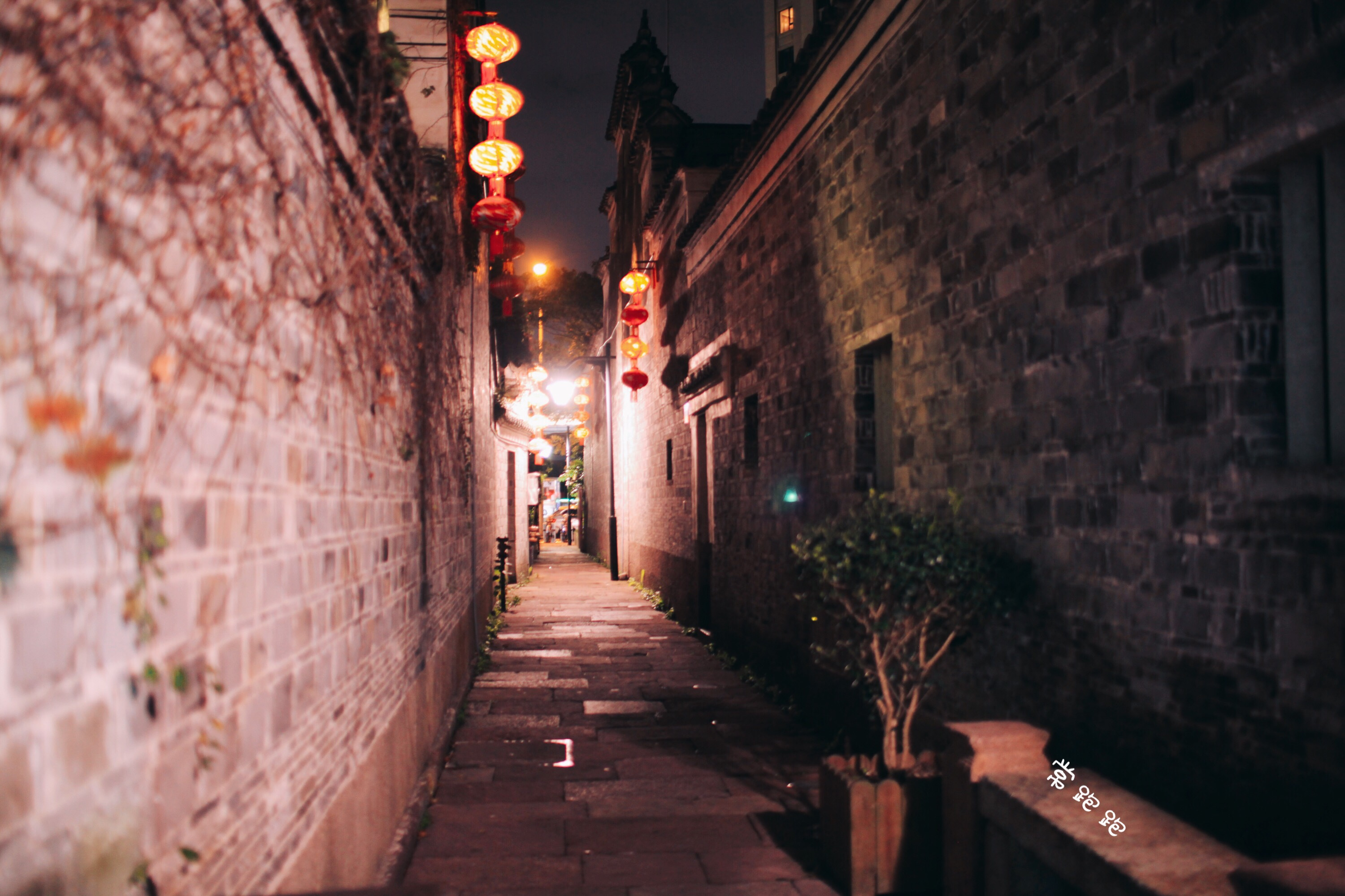 宁波老街最好吃的美食,宁波百年老字号美食