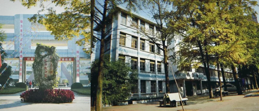 从未逃离,从未逃离过原生家庭