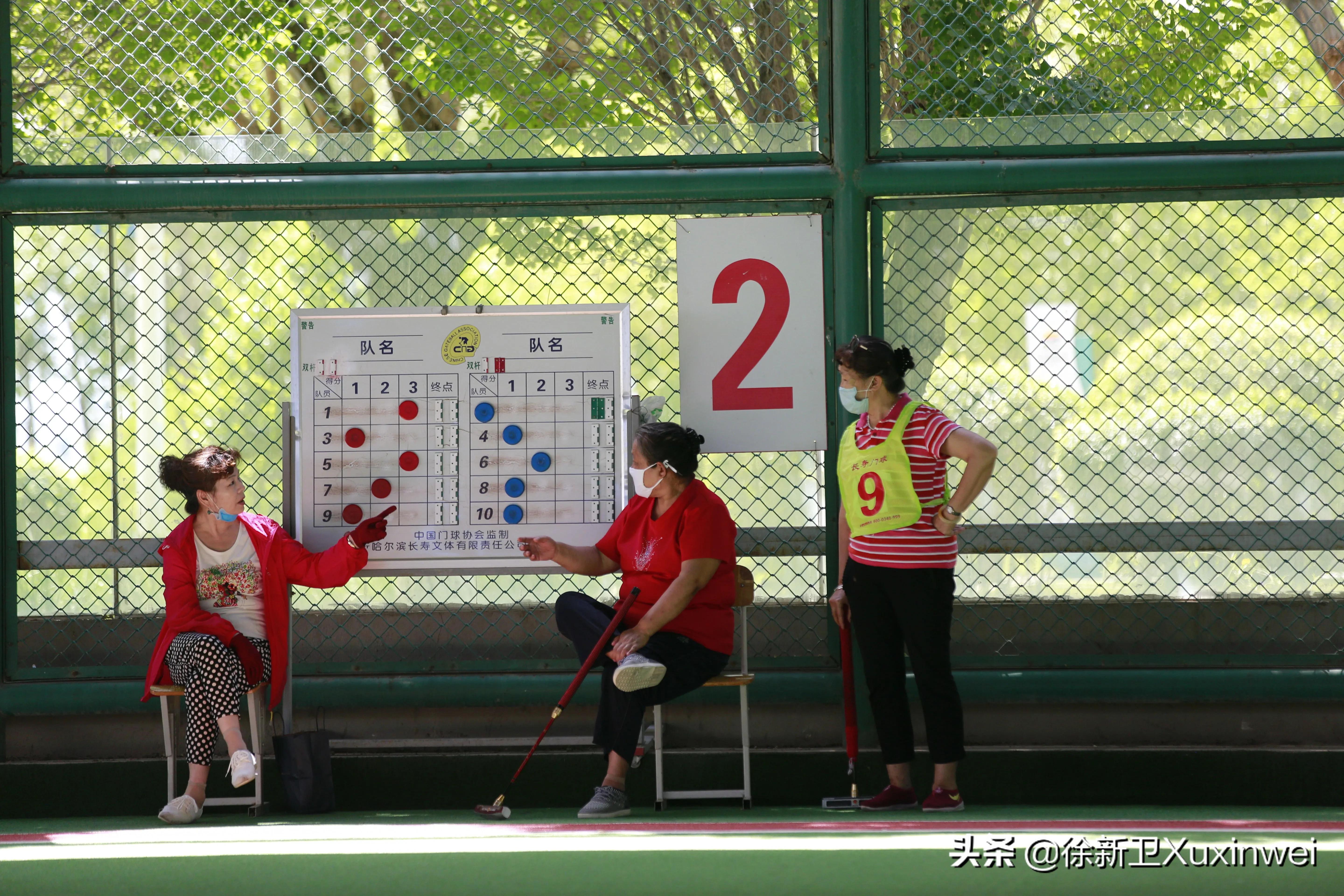 聊聊球杆的那些事,门球的信息