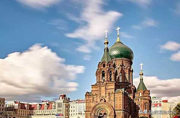 哈尔滨最好的5所大学,2010年哈尔滨考清华名单