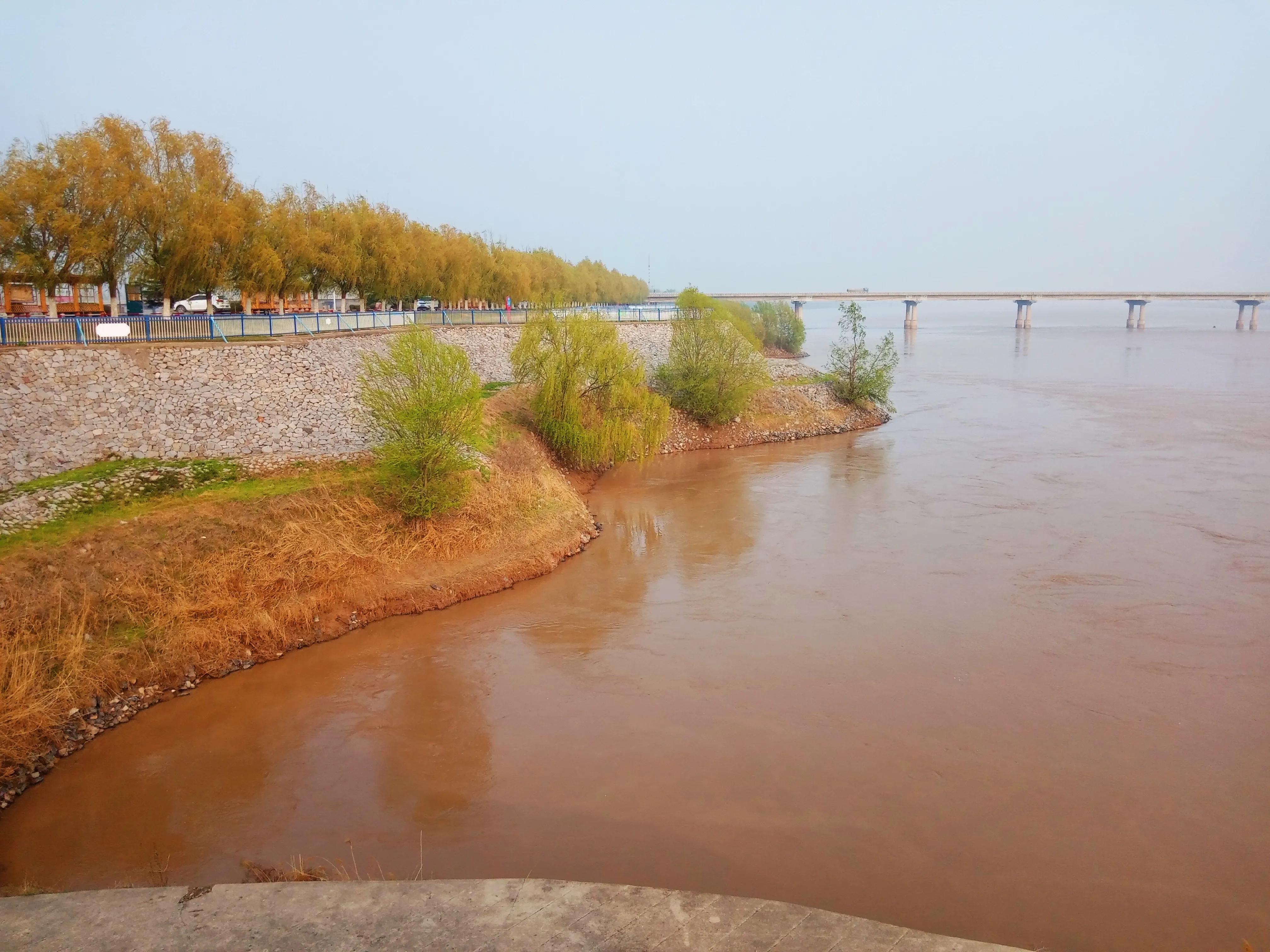 封丘三月杏花开全集,封丘县三月杏花开