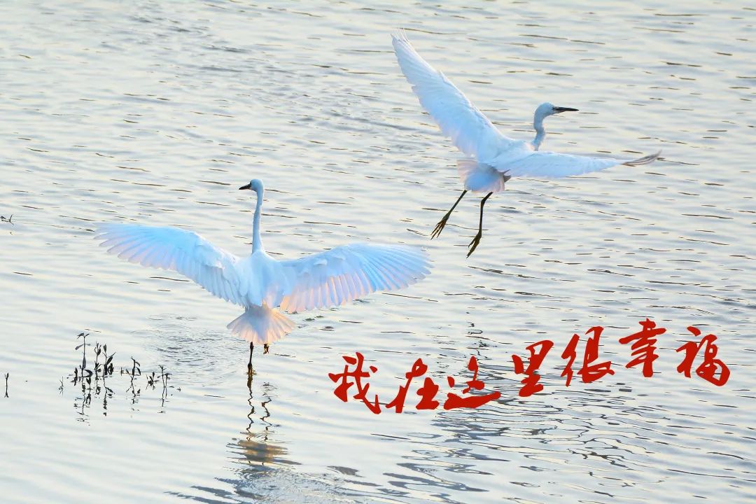 「生态」我在恩平很幸福