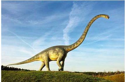 恐龙是怎么繁衍的,恐龙繁衍的过程