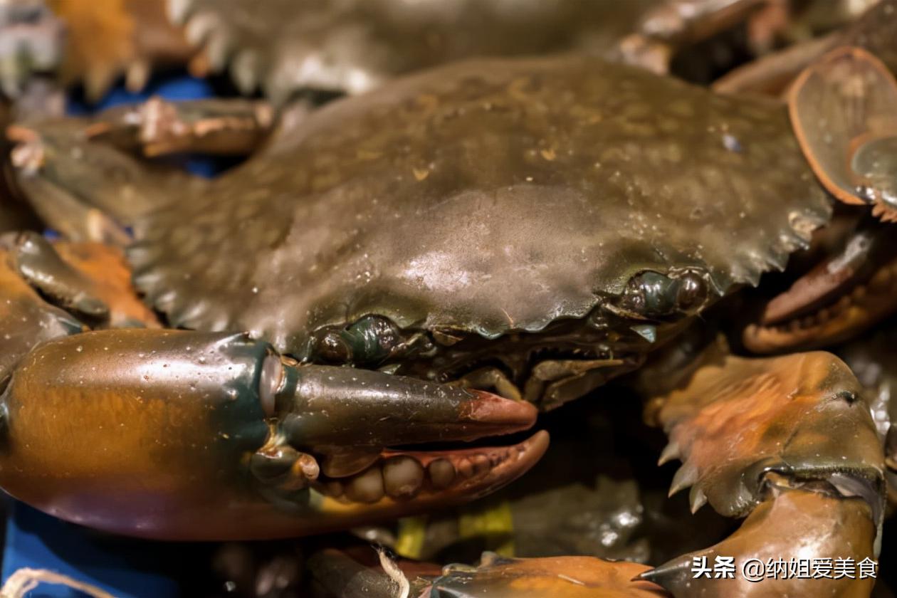 大闸蟹蒸多久有什么营养价值,大闸蟹怎么蒸好吃还有营养