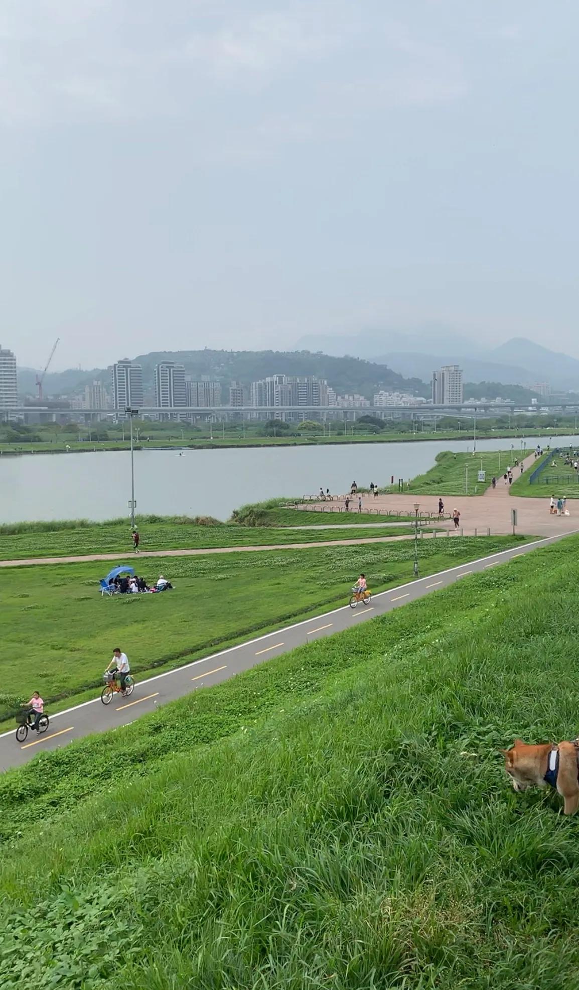 台北工作真实情况,为何来到台北工作