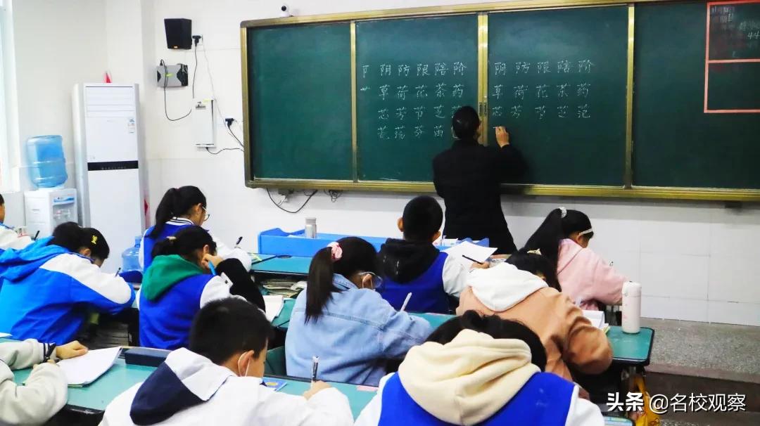 多彩社团助力学生快乐成长,双减之后丰富多彩的社团活动