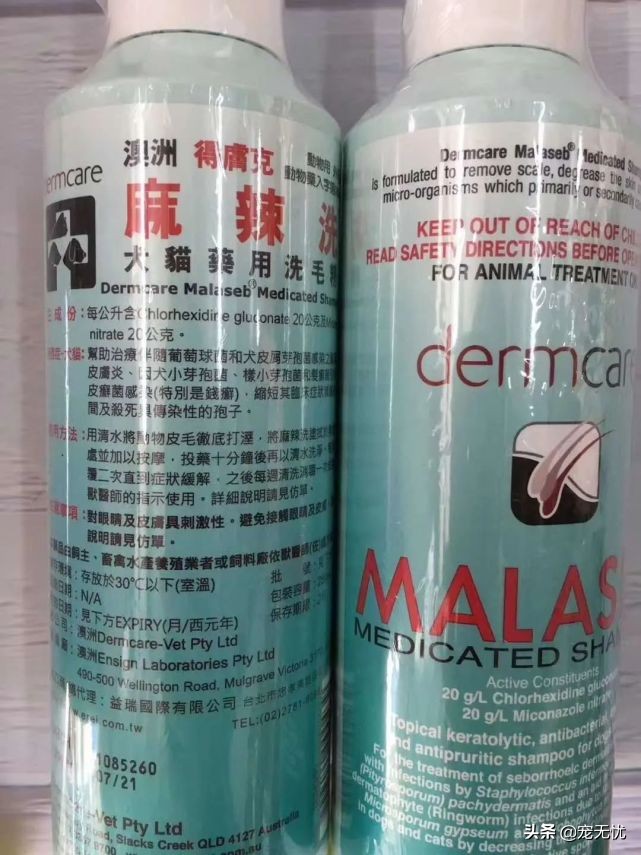 猫咪感染癣,猫咪感染猫癣怎么办