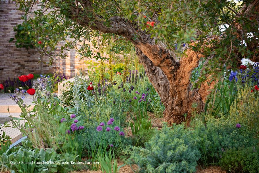 英国央行最新通知,英国央行降息贵金属