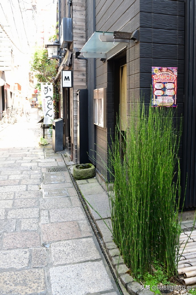 大阪街头随拍\暑假日本游