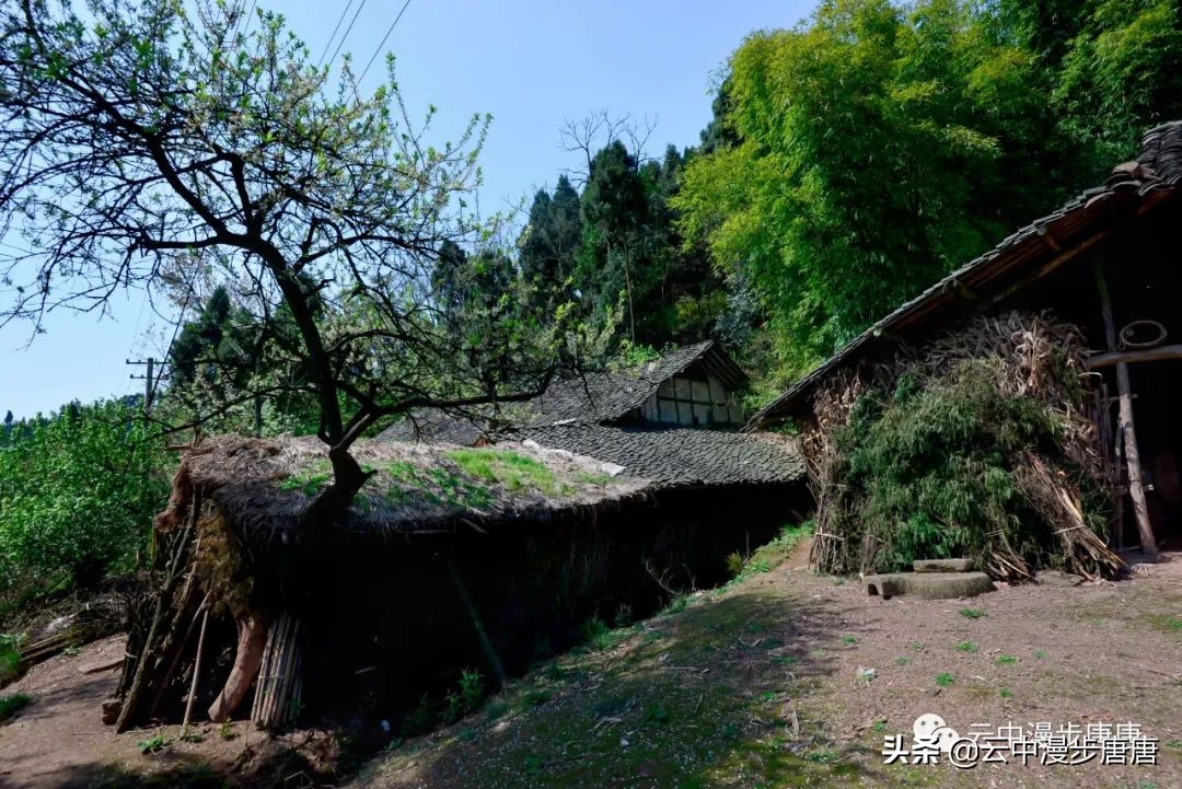 四川岳池黄龙水库,岳池黄龙杨家沟水库