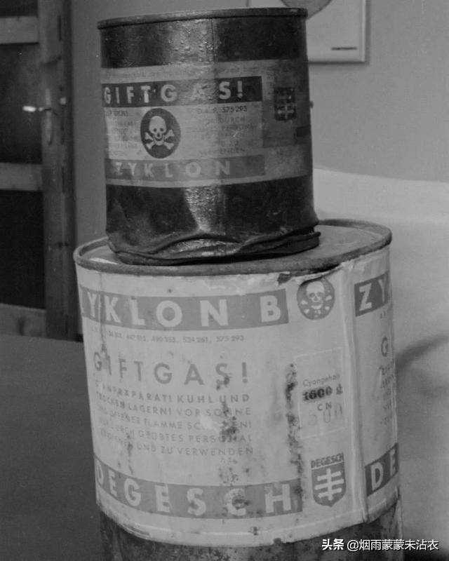 他是一位反纳粹的*党**卫队军官，第一个揭露集中营*杀屠**真相的格斯坦