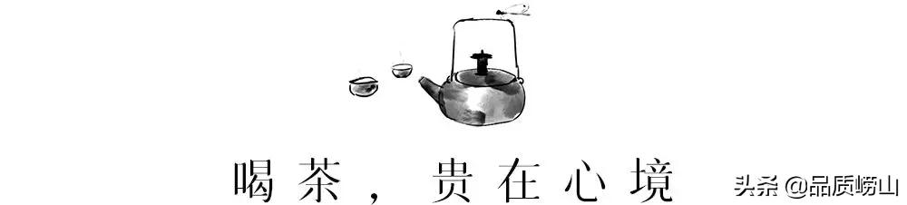 崂山茶特色,简单也许是最好的