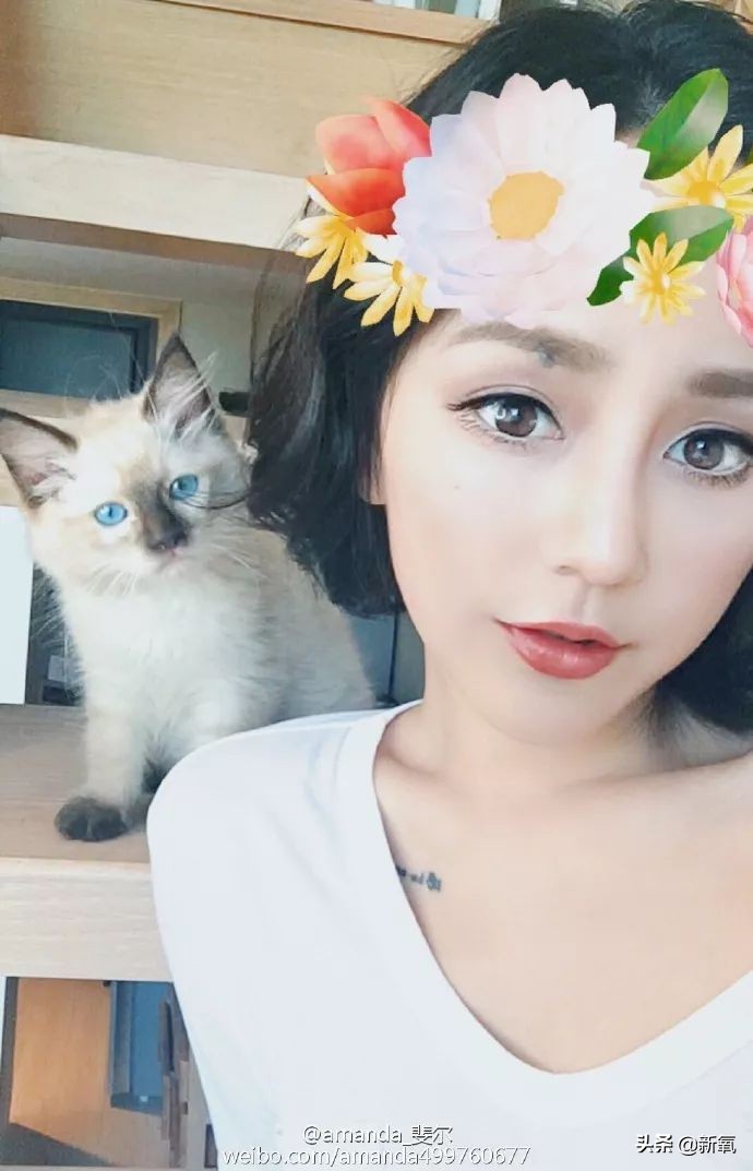 淘宝的鼻祖,淘宝最早的一批网红