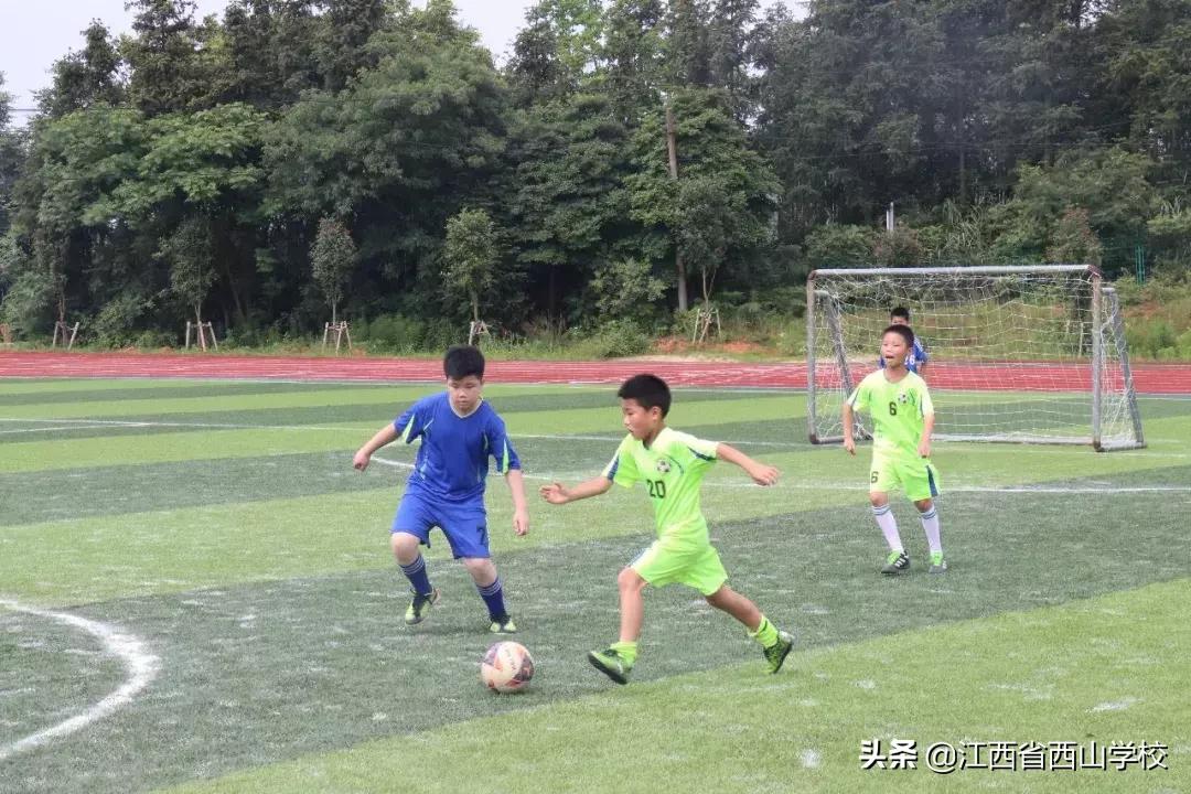 捷报赛事,2021年滕王阁杯排球冠军