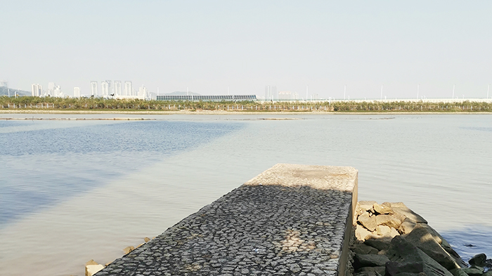 去澳门旅游看地图,香港澳门看海