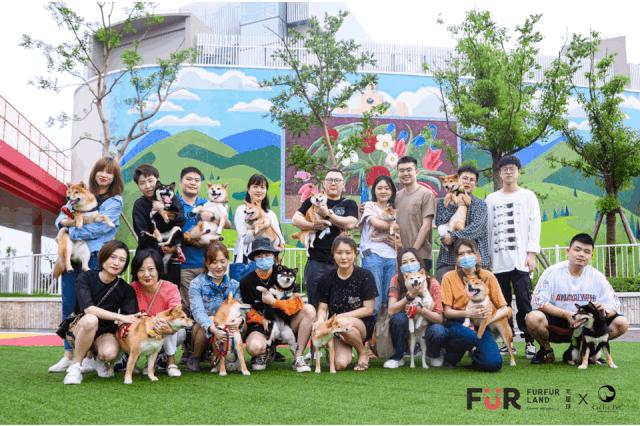 从铲屎官到创业者,他带领FURFURLAND销售额增长15倍