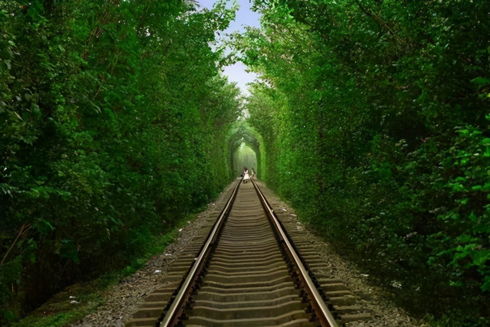 泸州旅游推荐景点大全最新,合肥旅游免费景区推荐