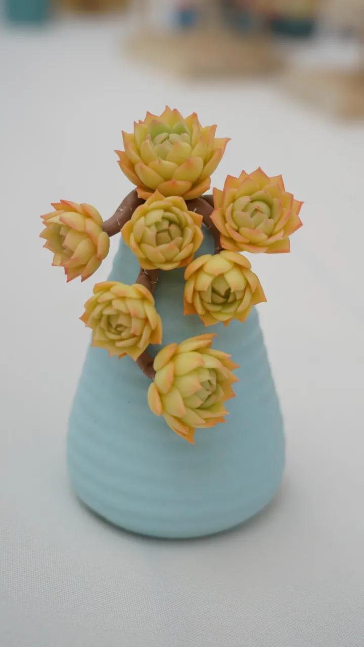 这个年销量上亿株多肉的县城，举办了首届多肉电商节