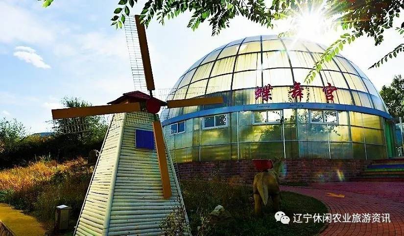 旅顺杏花村风景,旅顺杏花微雨醉春风