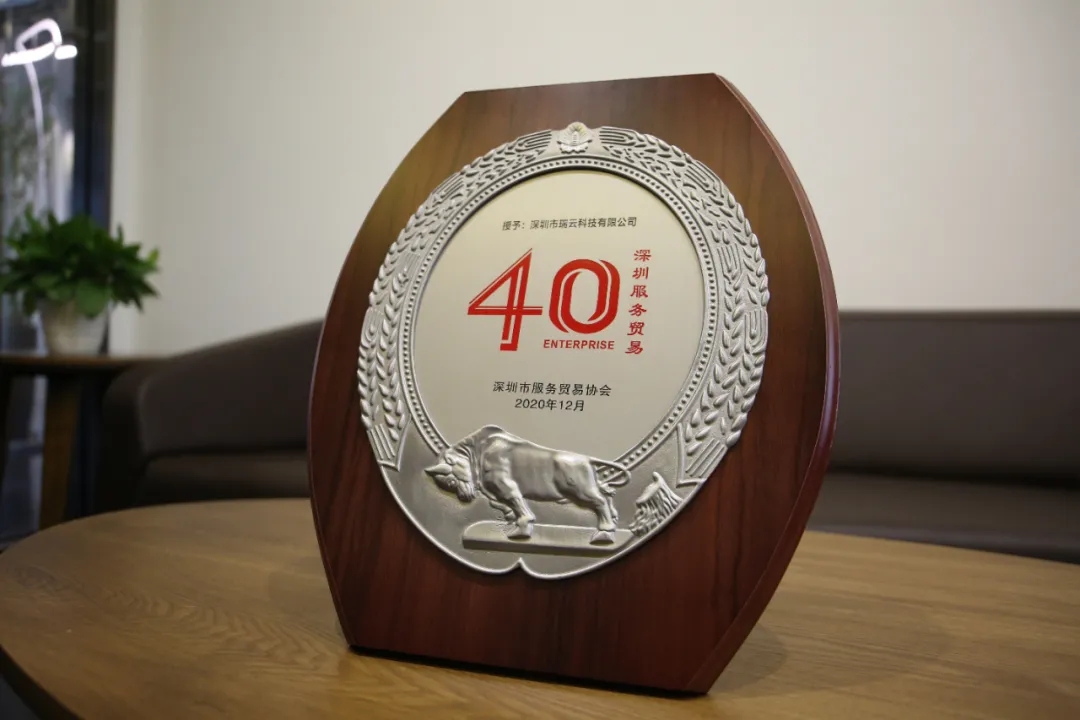 深圳瑞云科技最新一轮融资,深圳瑞云科技有限公司