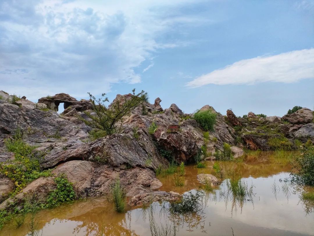 大连金石园奇石名称,大连市金石园
