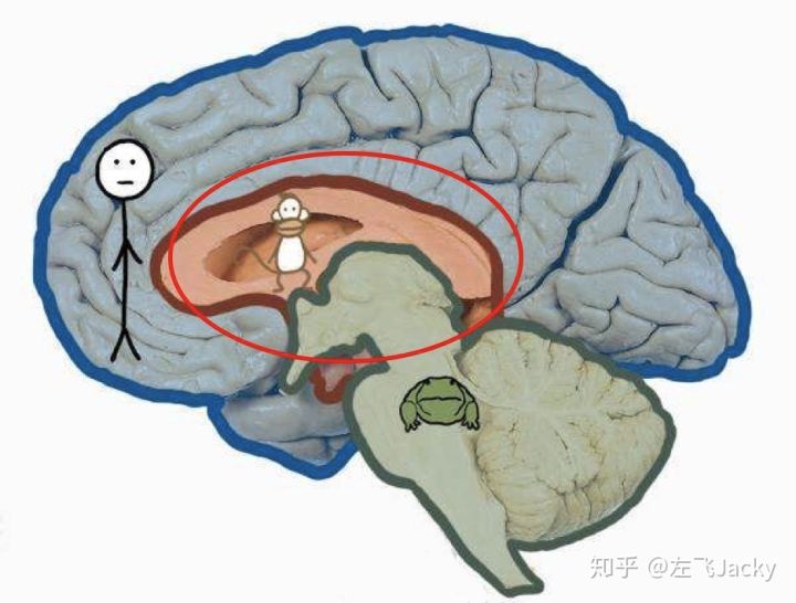 孩子总爱说脏话怎么办呢,孩子说脏话该如何正确引导