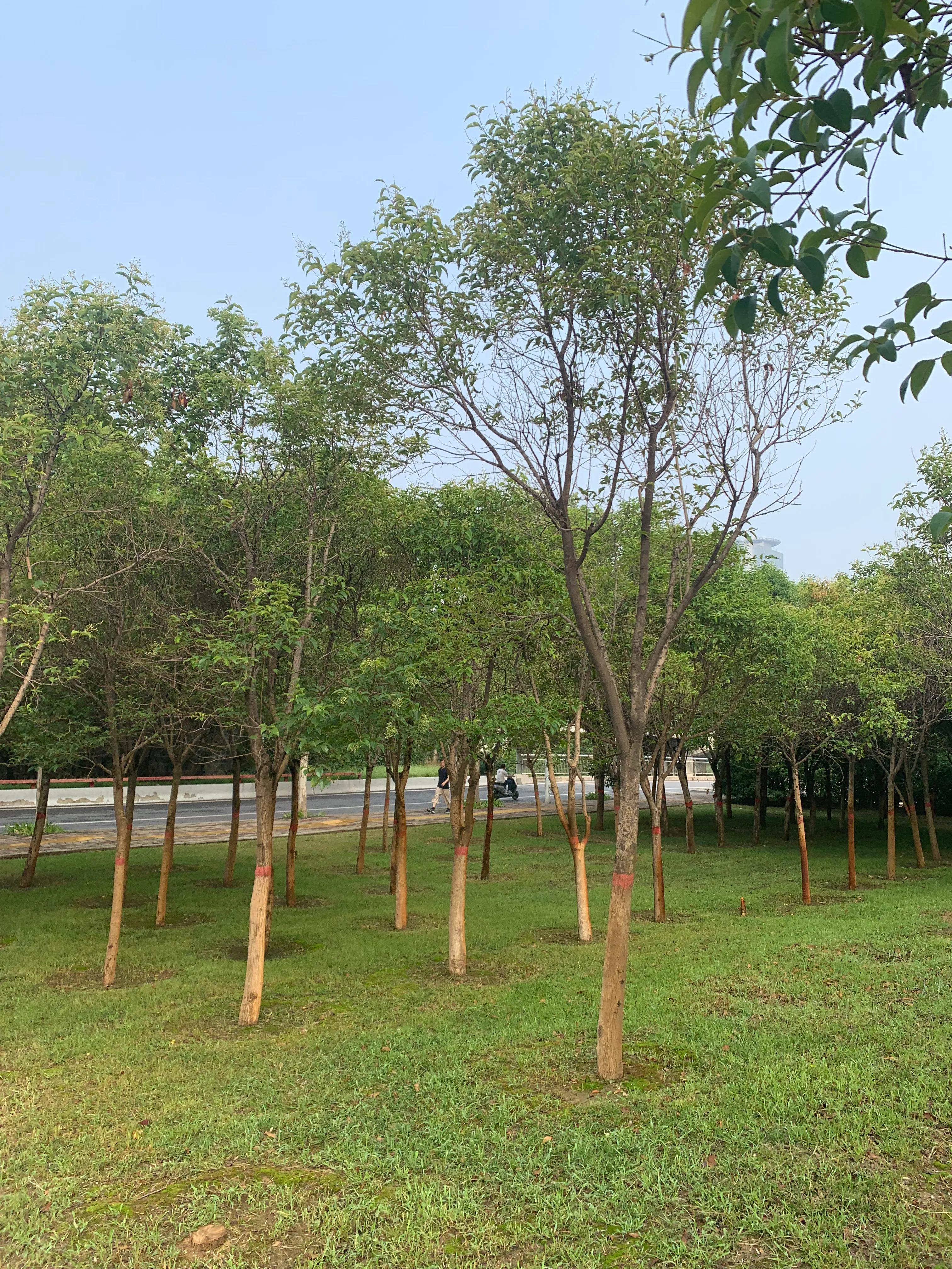 家有儿女青春期撞上更年期,家有儿女初长成是几岁