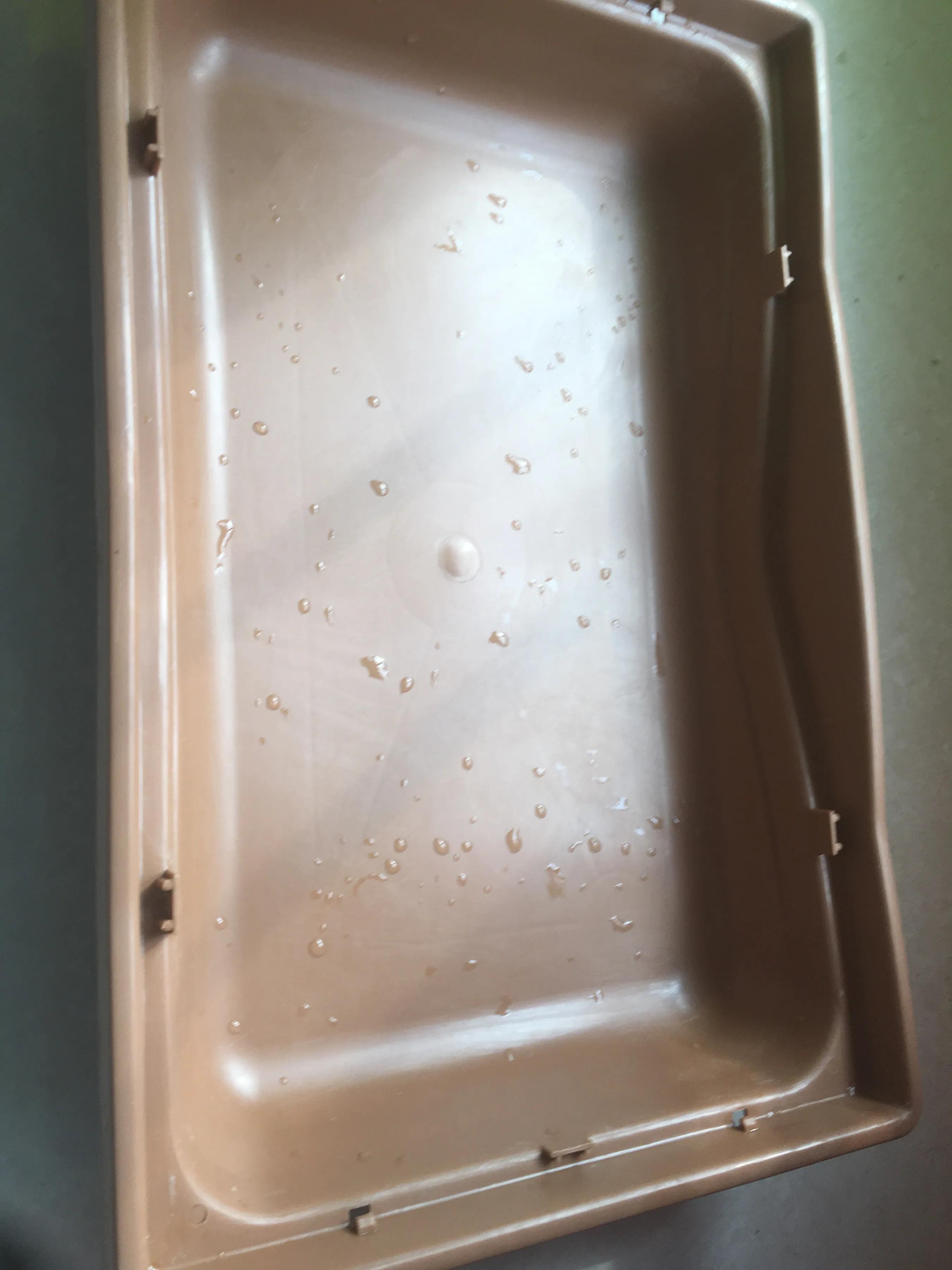 仓鼠幼崽成长记录,仓鼠记录