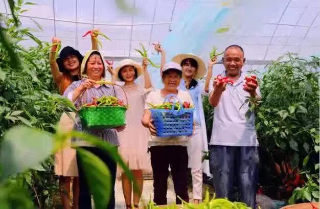 宁都千椒百味,宁都特色菜青菜