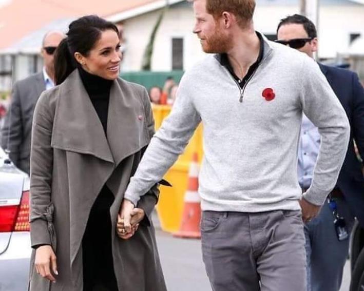 梅根最新生育消息,梅根怀了几胎了