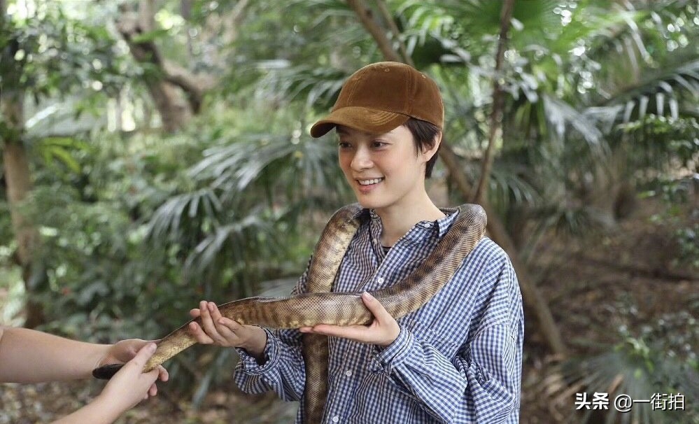 孙俪邓超七周年晒照,邓超孙俪重拍证件照