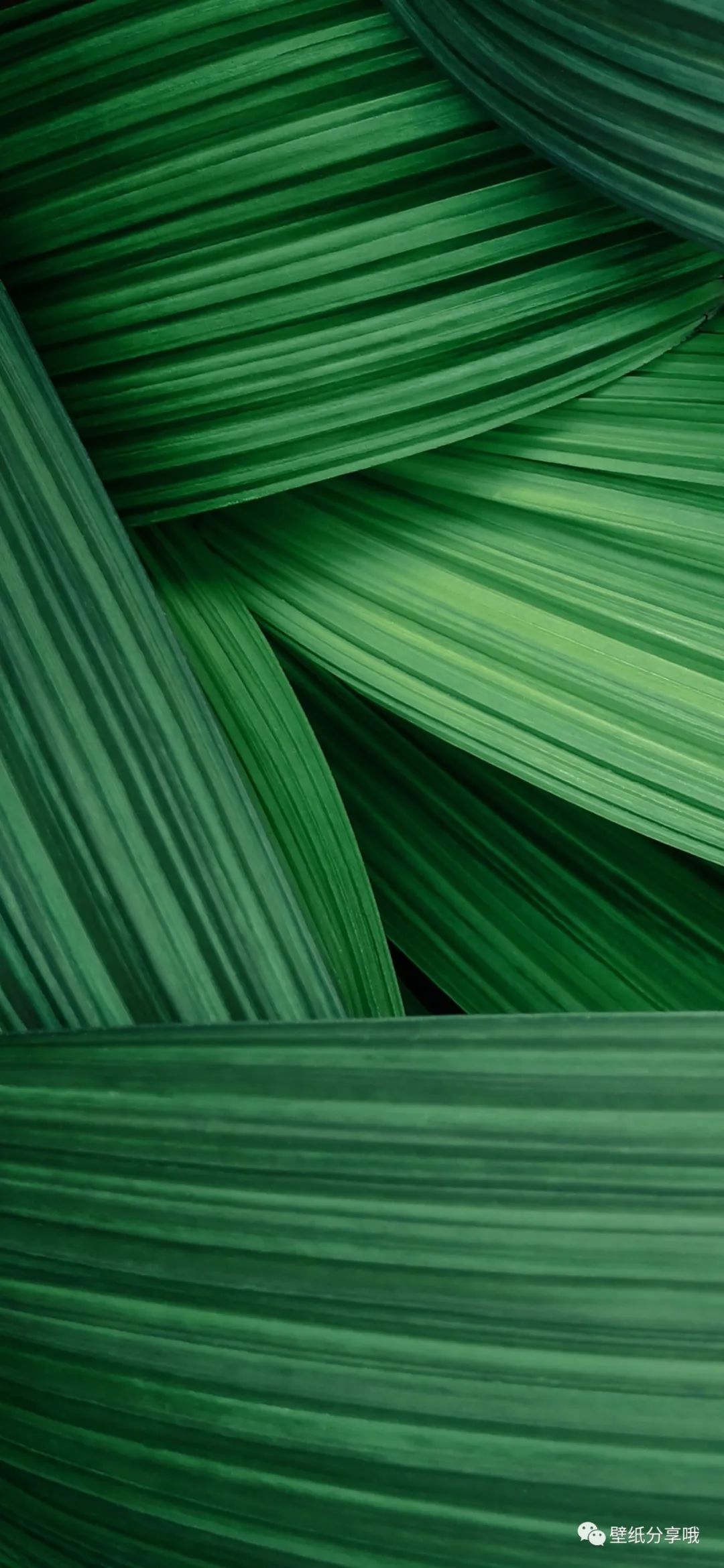 OPPO手机系统ColorOS11内置高质量原生壁纸分享