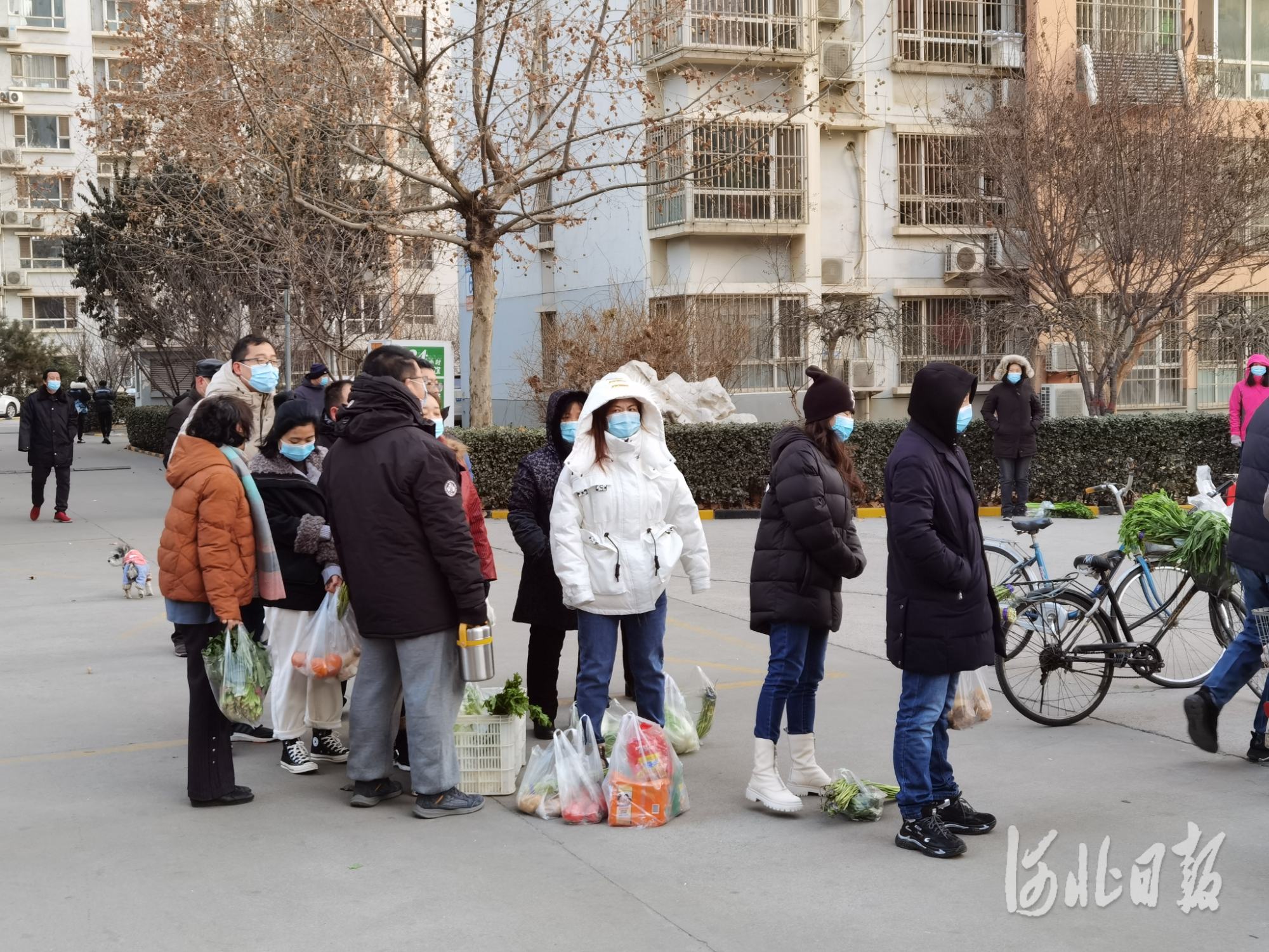 全力以赴抗击疫情,河北第6场疫情防控发布会