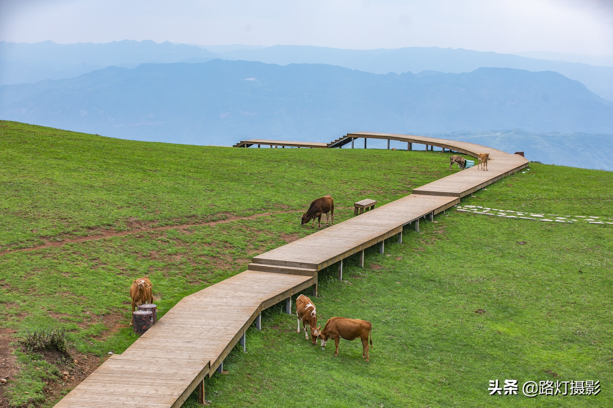 贵州这个县级市不简单，川黔要塞避暑胜地，靠一种水果跻身土豪榜