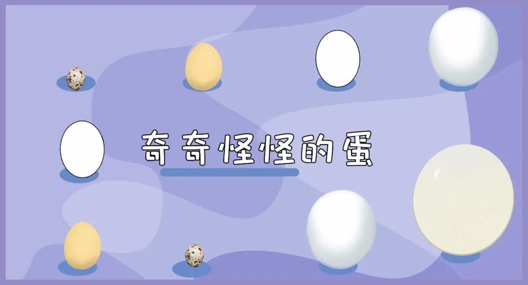 鸡蛋有营养还是鹅蛋有营养,鸵鸟蛋与鸡蛋的营养差别在哪