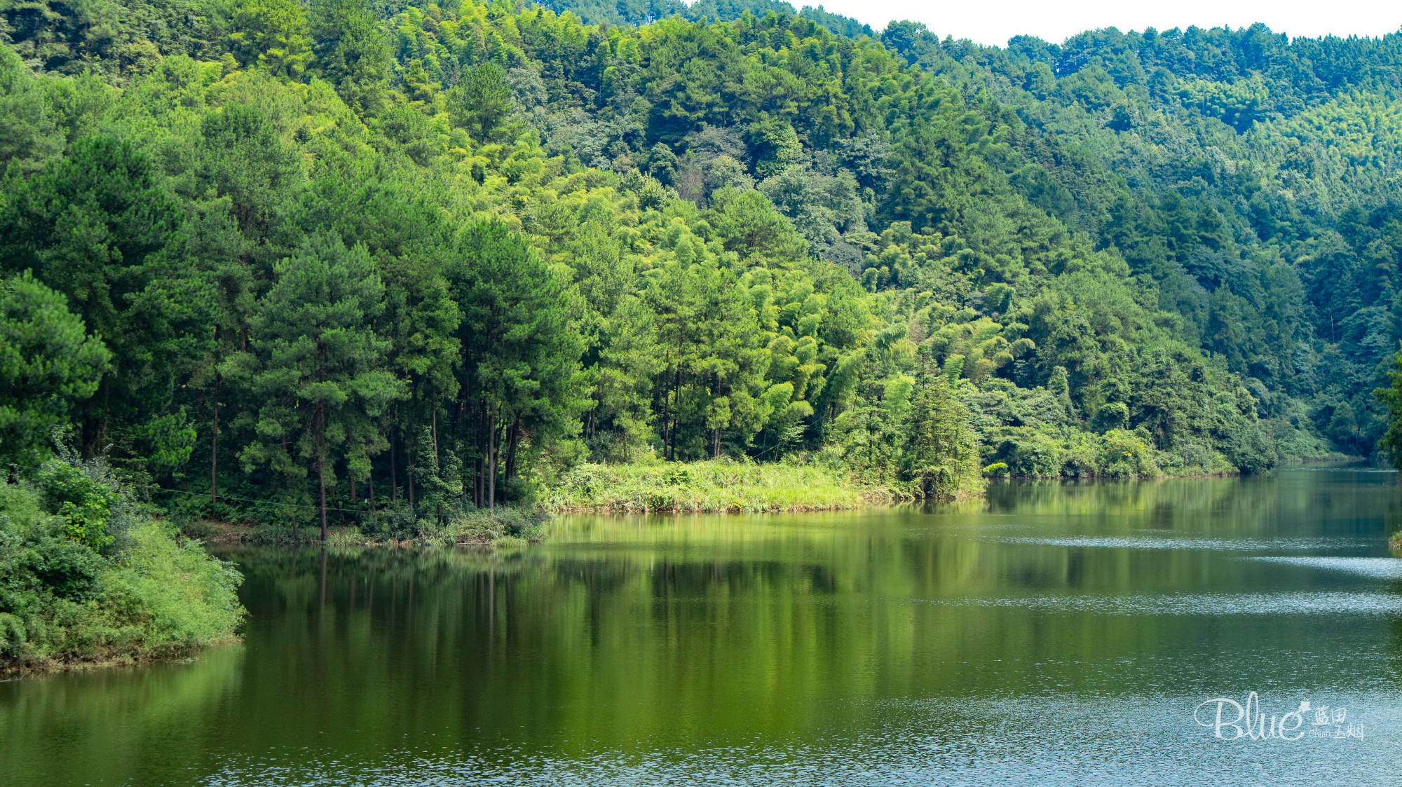 綦江横山花仙谷全景,重庆綦江看花景点推荐