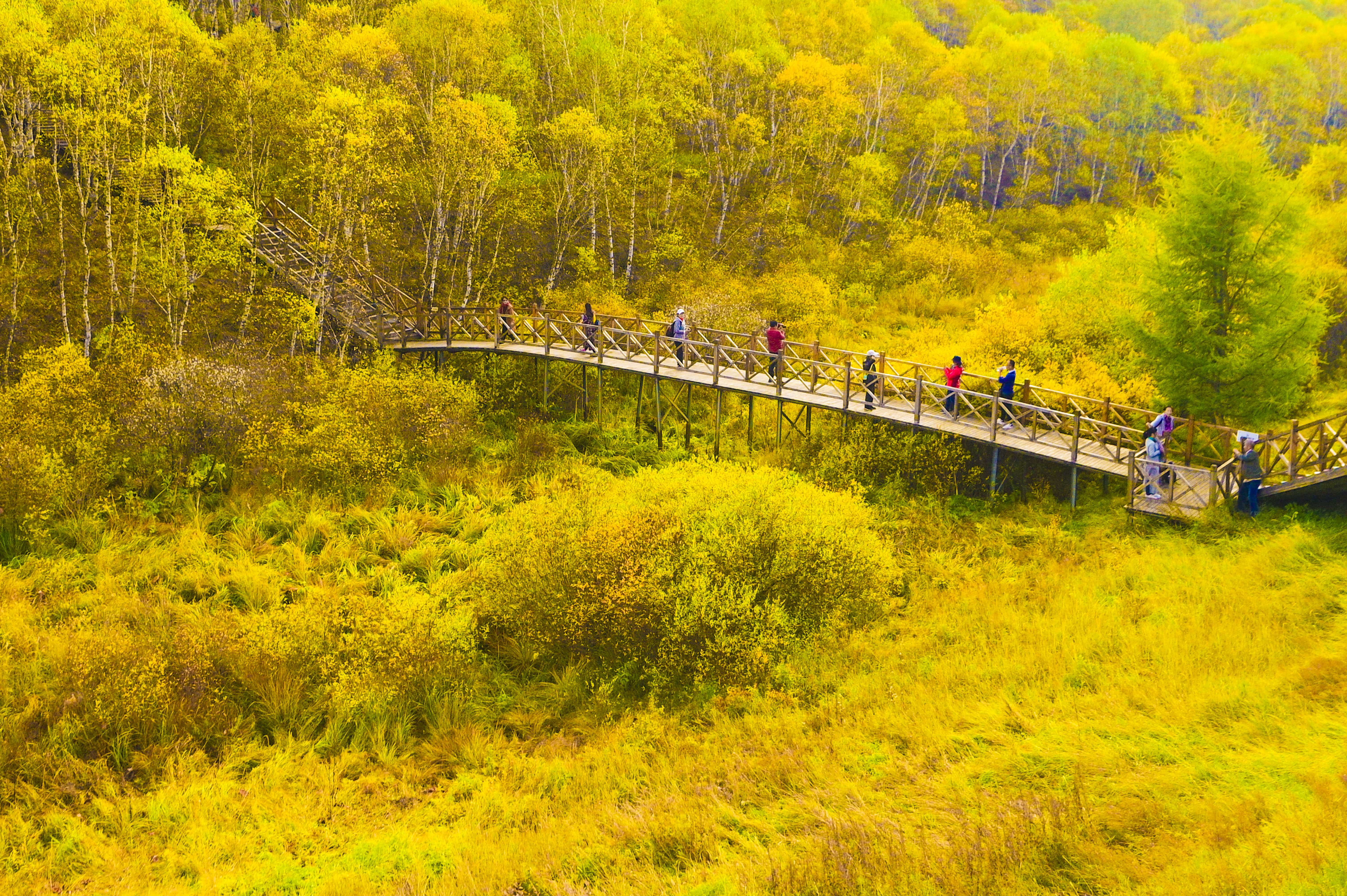 丰宁神仙谷七彩森林景区地图,丰宁坝上七彩森林游玩攻略